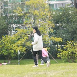 风起云飘零头像