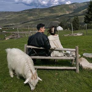 嗷呜一大口头像