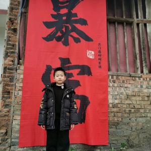 炒股养（猫头像