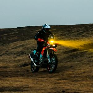 RallyCat拉力猫头像