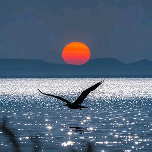 十七（进厂丝）头像