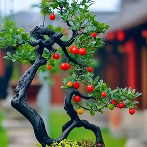 平静！！！！头像