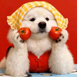 小张的AI厨房头像