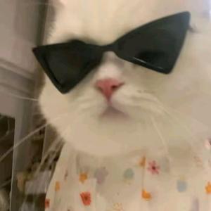 鄄城-郓城-济南头像