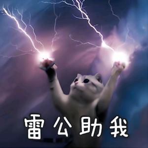 电缆故障检测杨大胆头像