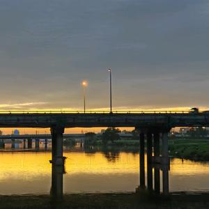 喵喵家的瞌睡猪头像