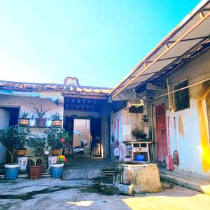 陈小小姐儿头像