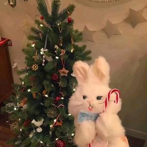 一颗小西柚.头像