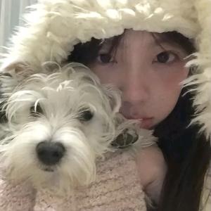 不吃鱼丸吃什么头像