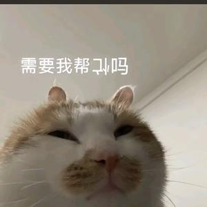 江西在逃豆腐脑头像