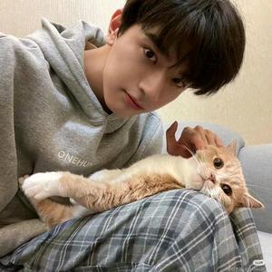 他说那像云☁️头像