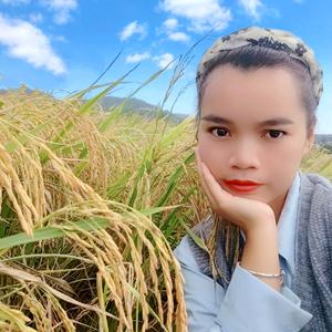 🌺🍀青山隐隐༼ つ ◕‿◕ ༽つ头像