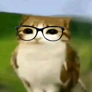 小尸（问🆔刷攒，看主页）头像