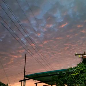 岁月无声🌽头像