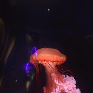 ghkiyfhnkpitrxn*u头像