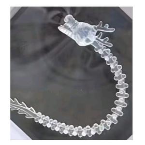 黑康👍蛋子安头像