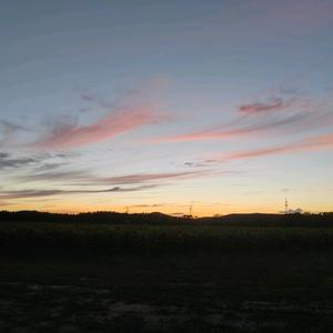 风风雨雨都在头像