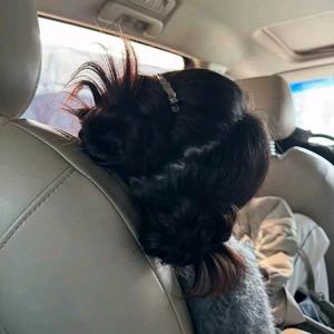 曦元˶╹ꇴ╹˶（枭起青壤热播版）头像