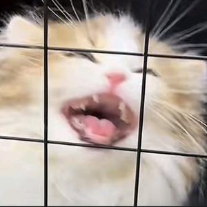 幻想中彩票一等奖剧场版ʷᵃⁿᵍʷᵃⁿᵍ头像