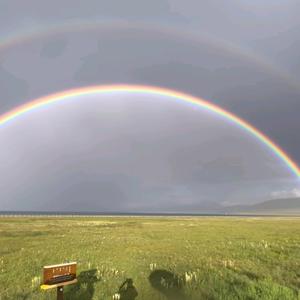 啊对对对对头像