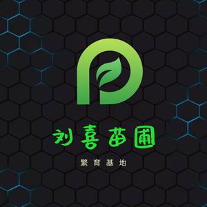 刘喜苗圃繁育基地头像