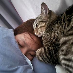 黎不梨   三人行好看！头像