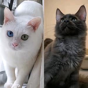 用戶84633445766头像