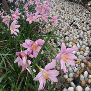 我的花花视界头像