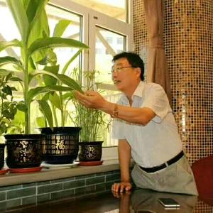 有你真好。双手合十祈祷心里有你。头像