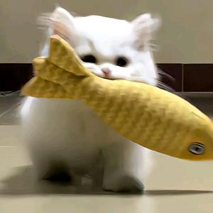 我吃零食的时候不饿头像