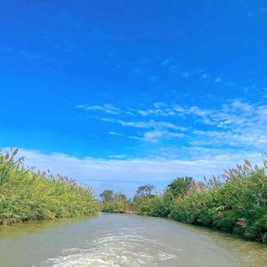 彩彩姐的美食日记头像