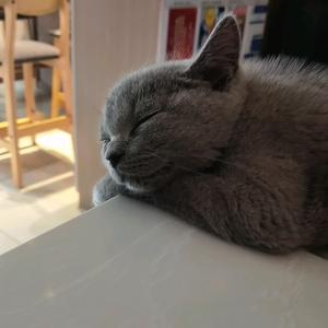 66印·白云广告头像