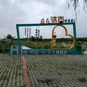 心动会消失头像