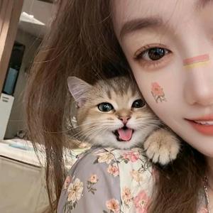 房产销售李晓雪啦🥰🥰头像