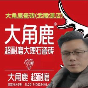 大角鹿瓷砖（武陵源店）彭懋头像