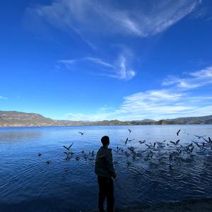 劉劉的悟道之路头像