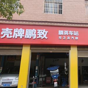 壳牌鹏致-小黎头像