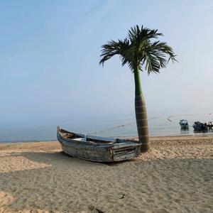 四海为家，浪迹天涯头像