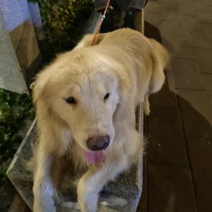 AAA助残就业头像