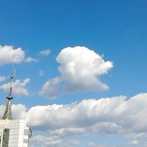 眼镜小百科头像