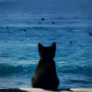 下次一定…头像