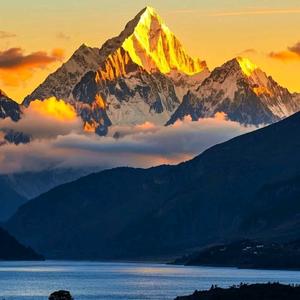 為中華崛起而讀書头像