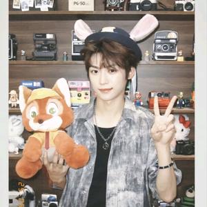 温柔有光🍀🔮头像