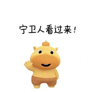 宁卫噜噜学姐（26专业课表领取）的抖音 - 抖音