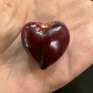 碗妹脆爺～！头像