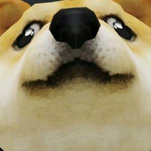 Doge不是屑头像