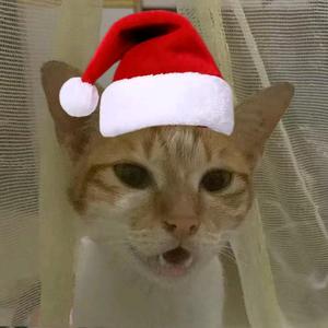 神秘的L大王137头像