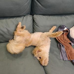 小木是串串儿头像