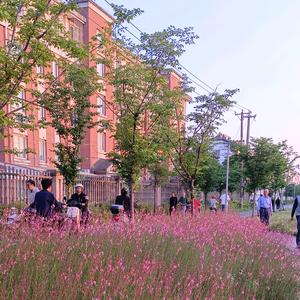 庆阳五金百货头像