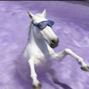 暮江祈春吟头像